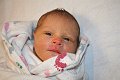 Reed's Birth